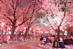 286F809C-8215-4647-ADC6-2F87F2F97490.jpeg